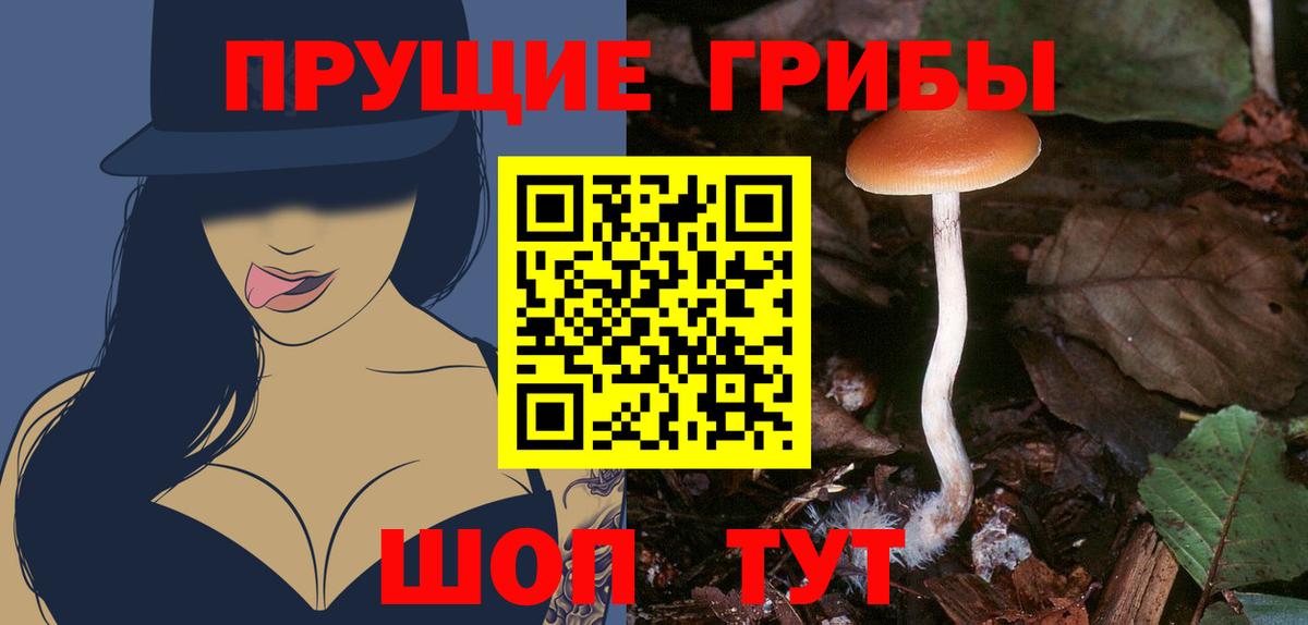 Псилоцибиновые грибы мицелий Елец