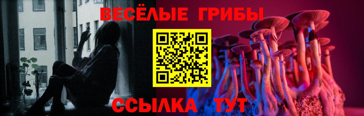 Елец  Галлюциногенные грибы мухоморы  Вход с VPN  Псилоцибиновые грибы MAGIC MUSHROOMS 